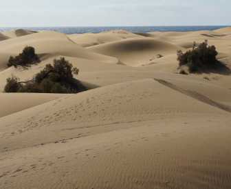 Gran Canaria nádherné písečné duny Maspalomas