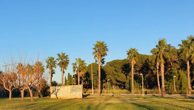 Park ve Španělsku v Oropesa Del Mar chvíli po východu Slunce